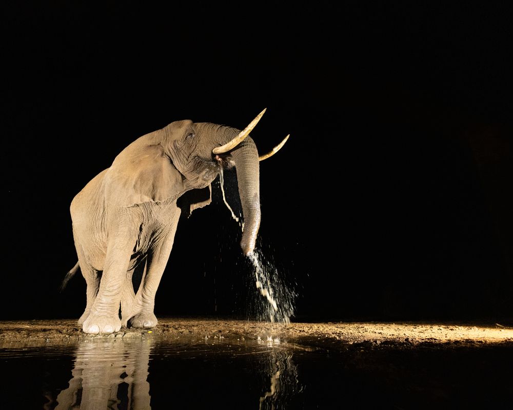 Photograph by Silvia Ribeiro