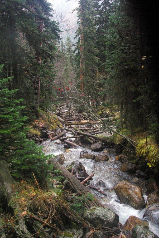 Однажды осенью ...