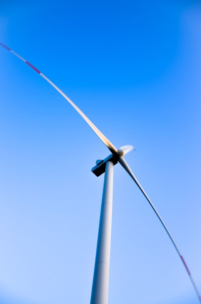 Photograph by Ольга Мукина