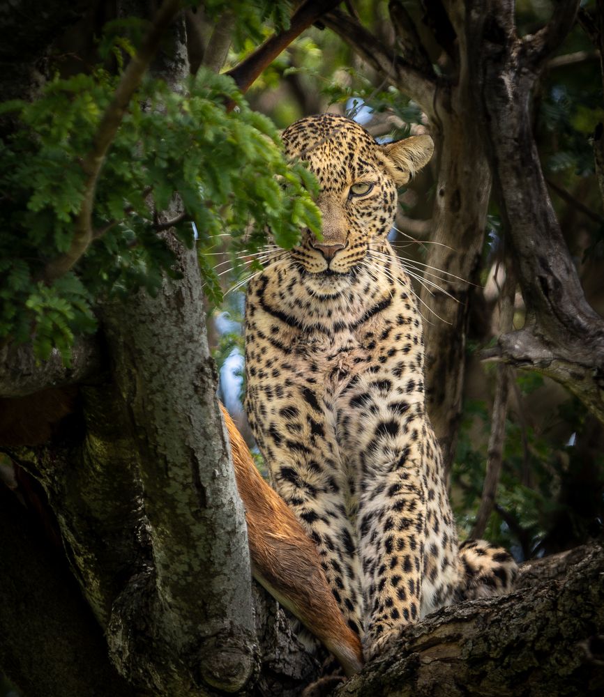 Photograph by Silvia Ribeiro