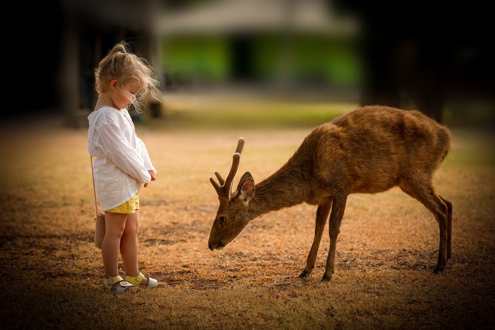 Photograph by Павел