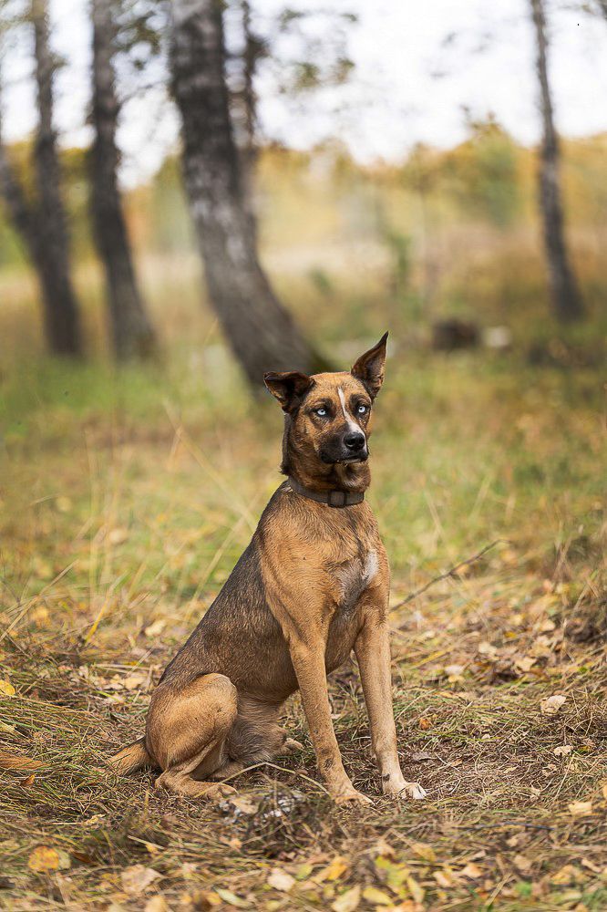 Photograph by Ольга Ченцова