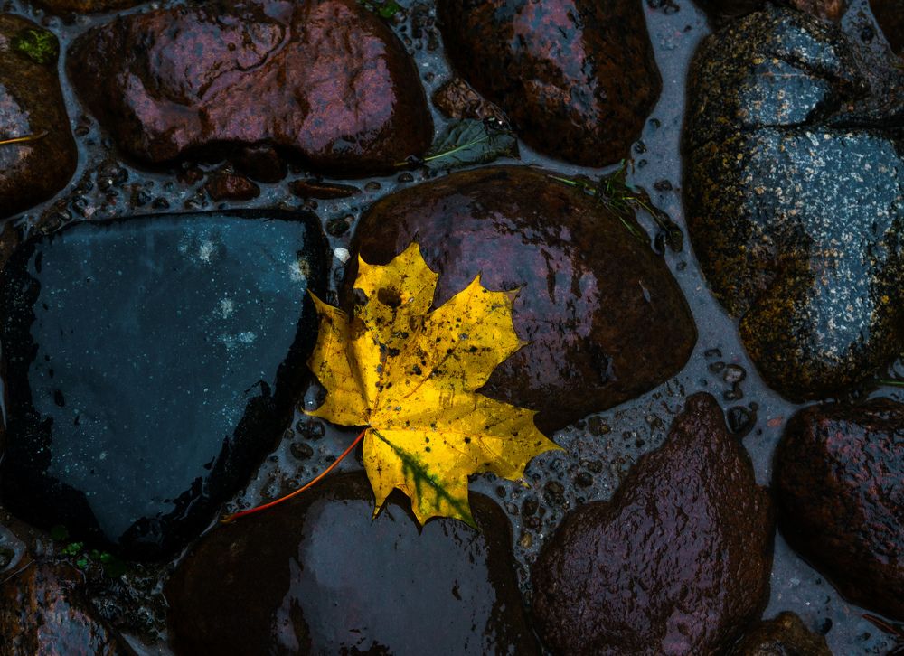 Photograph by Vladimir Borisov