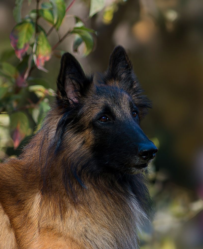 Photograph by Ольга Ченцова