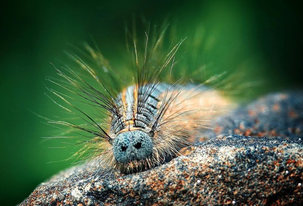 На пути к парикмахеру.