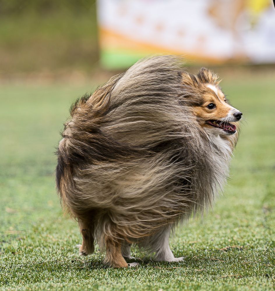 Photograph by Ольга Ченцова