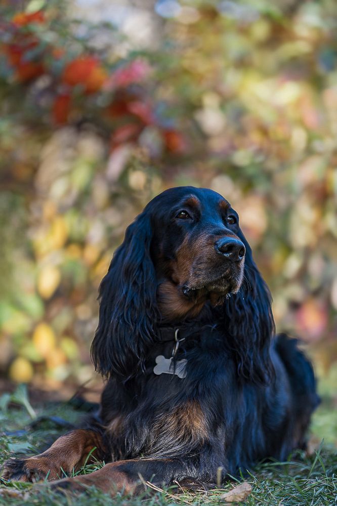 Photograph by Ольга Ченцова