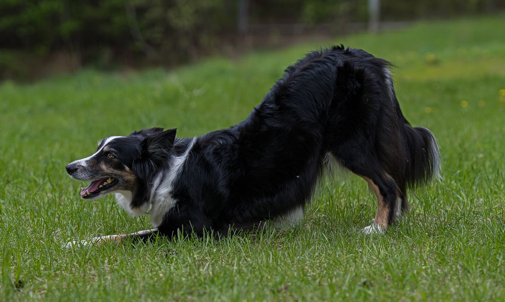 Photograph by Ольга Ченцова