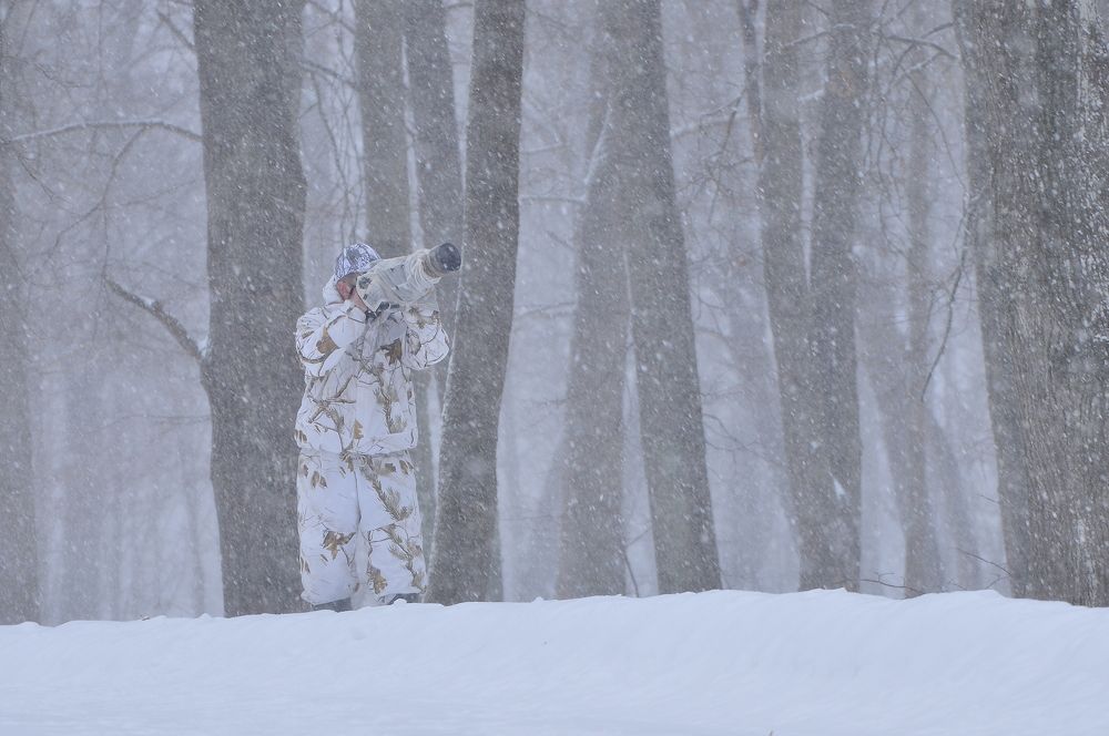 Photograph by Юрий Яковлев