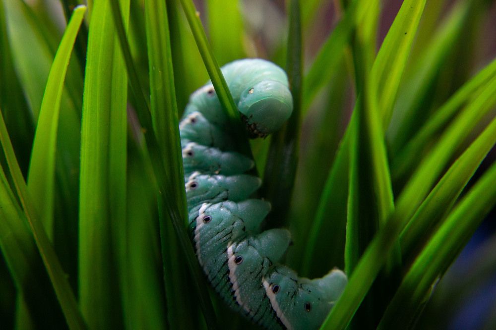 Photograph by Татьяна Тарунтаева