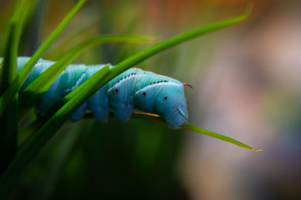 Photograph by Татьяна Тарунтаева