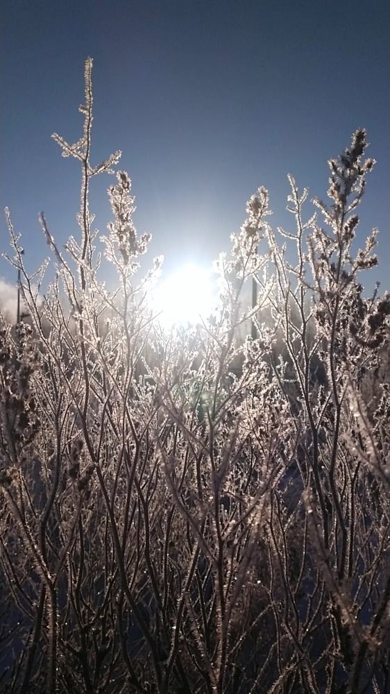 Photograph by Елена Киселёва