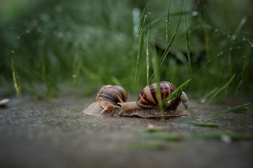 Photograph by Татьяна Тарунтаева