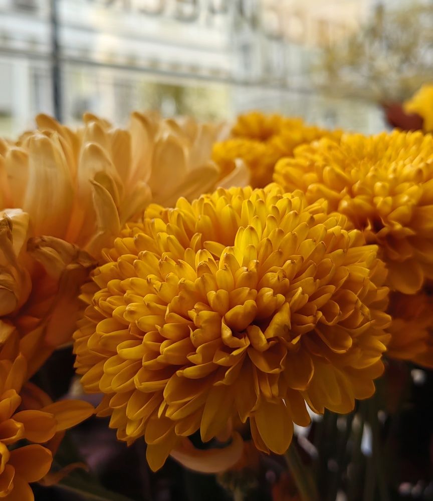 Photograph by Анна Матецкая