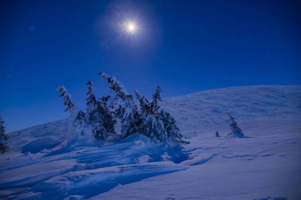 Photograph by Елена Перминова