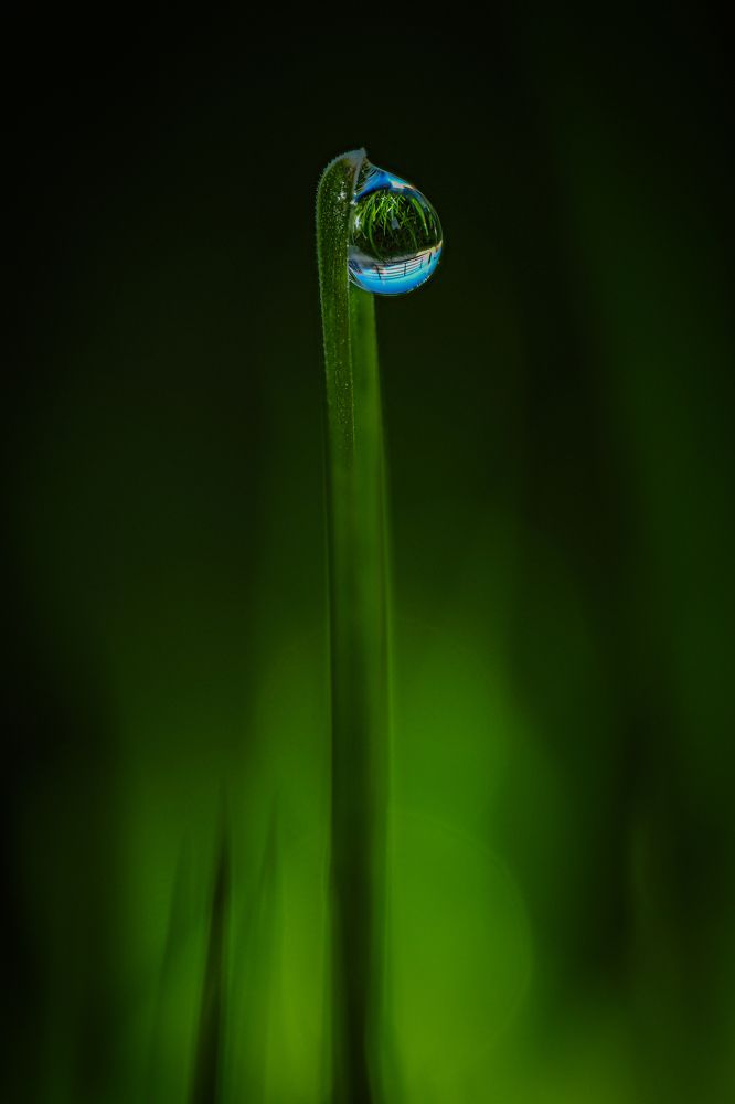 Photograph by Serdar AVCI