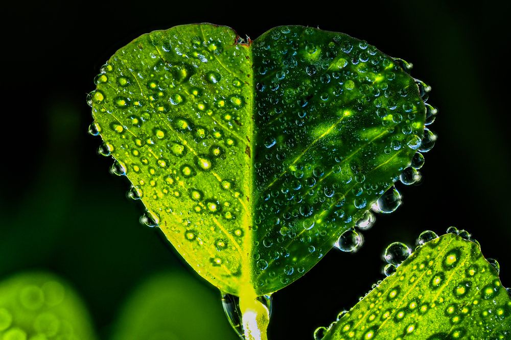 Photograph by Serdar AVCI