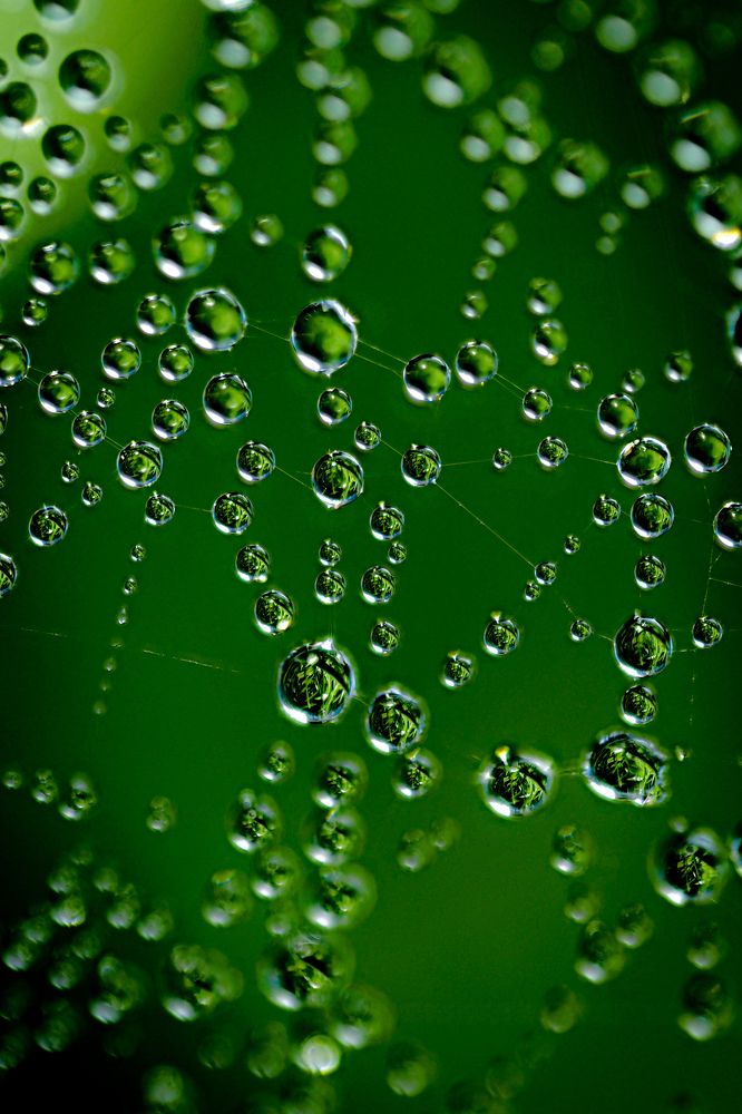 Photograph by Serdar AVCI