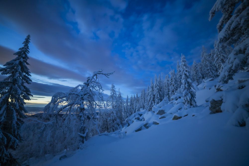 Photograph by Елена Перминова