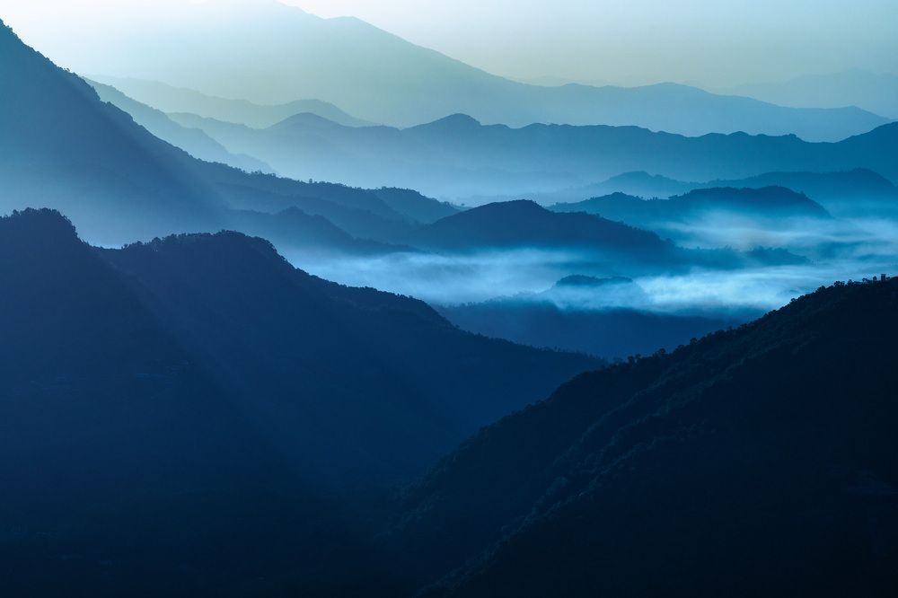 Фотография автора Kimia Shad