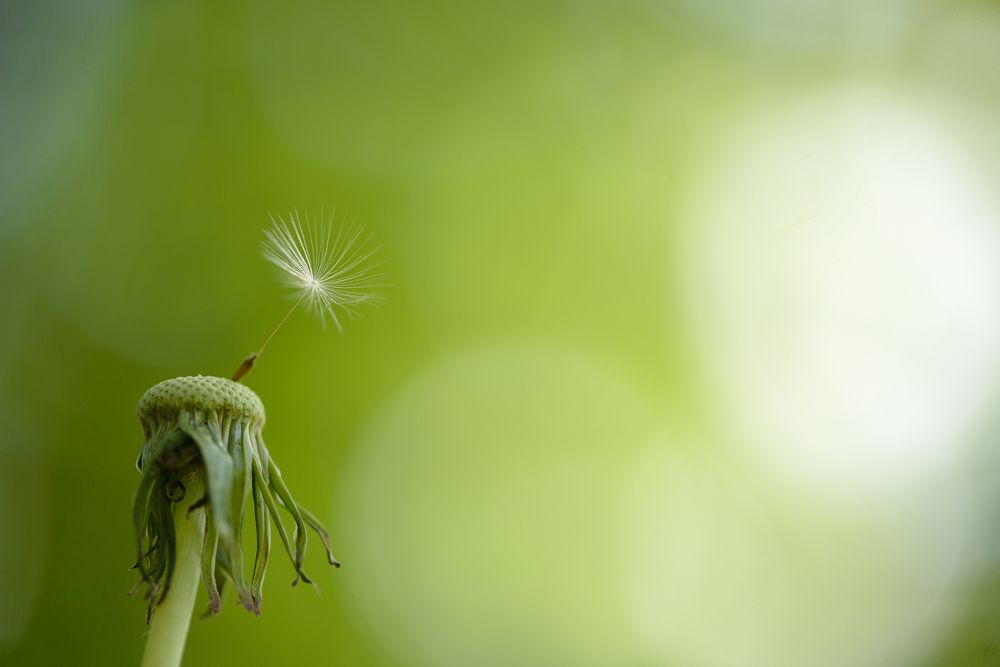 Photograph by Соварцева Ксения