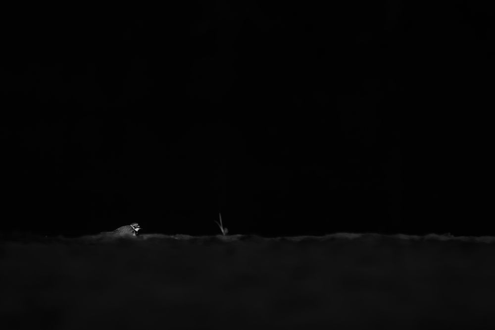 Photograph by Соварцева Ксения