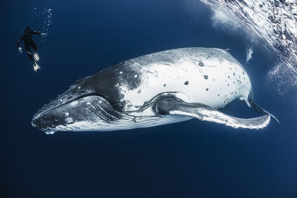 Photograph by Kurashima Daisuke