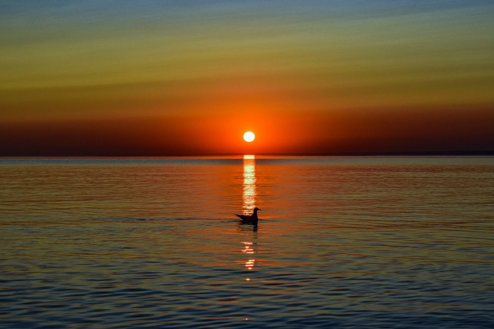 Photograph by Александра Климук
