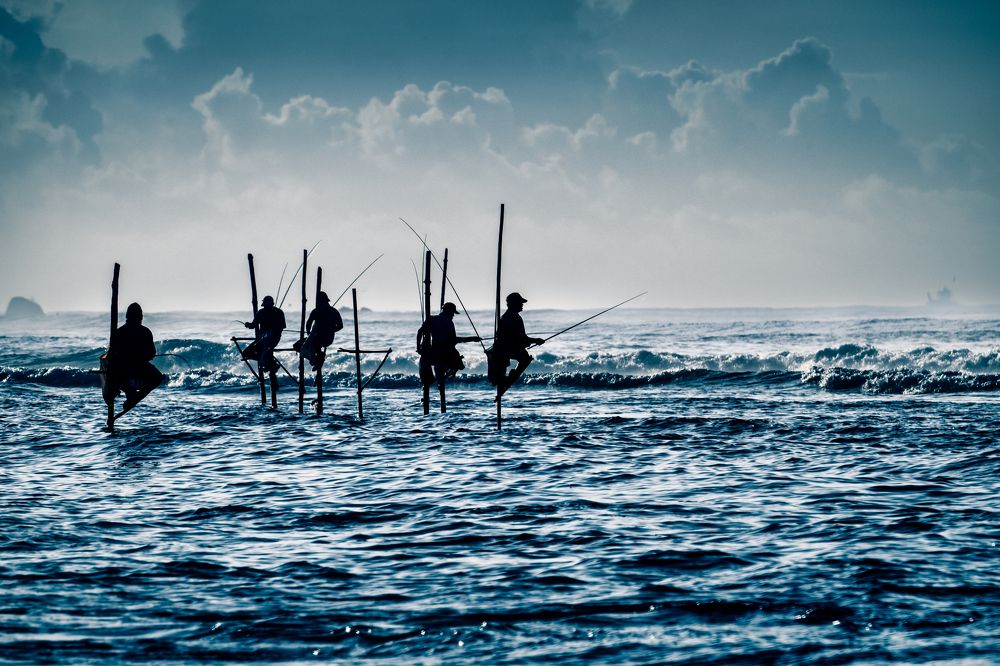 Фотография автора Kimia Shad