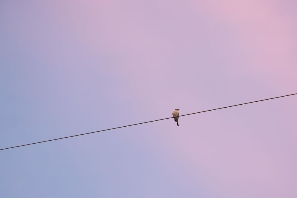 Photograph by Игорь Евдосеев