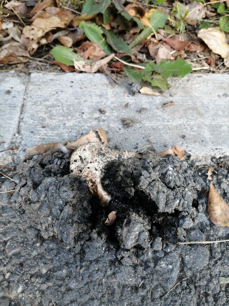 Photograph by Наталия