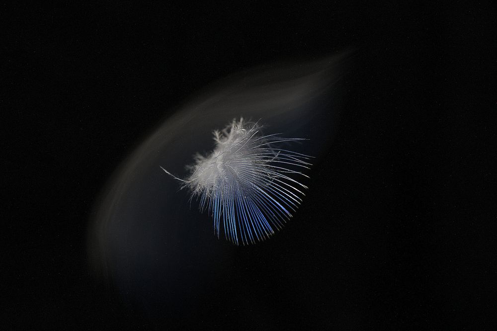 Фотография автора Екатерина Пачина