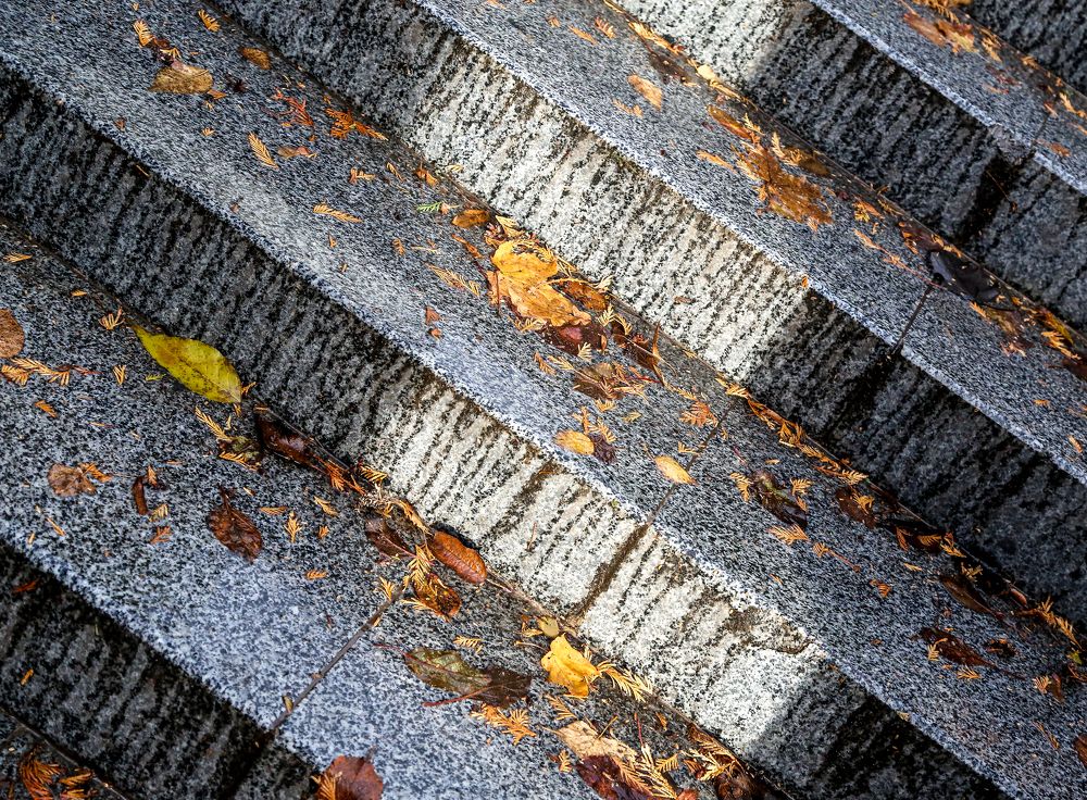 Фотография автора Денис Василец