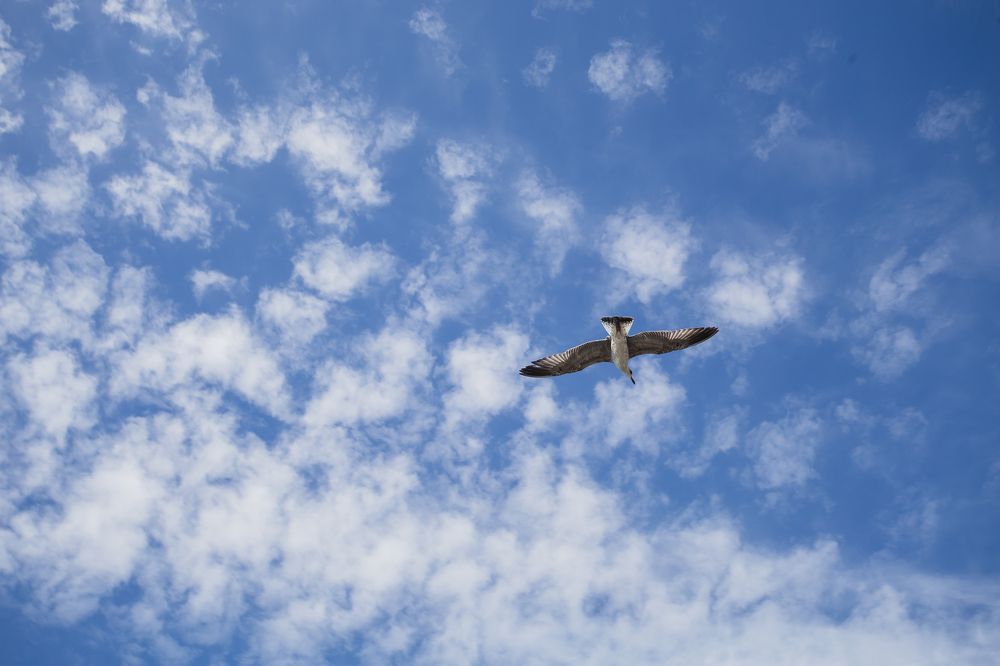 Photograph by Филипп Бабенко