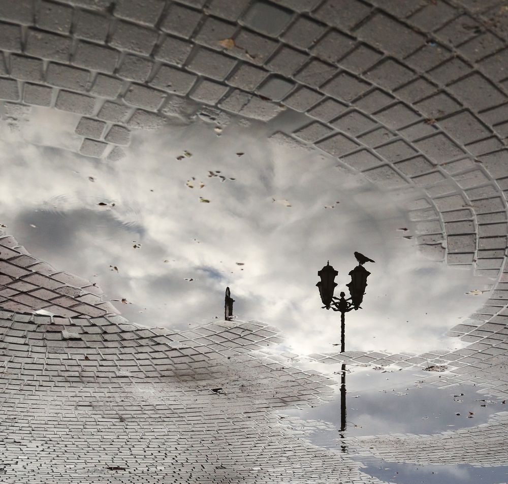 Фотография автора Денис Василец