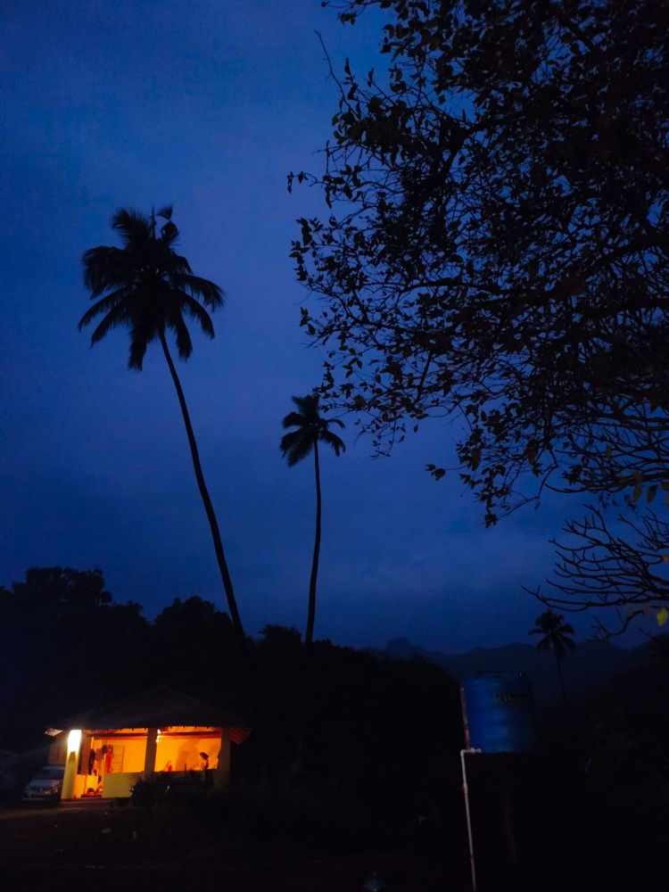 Фотография автора Tanaya Dhuri