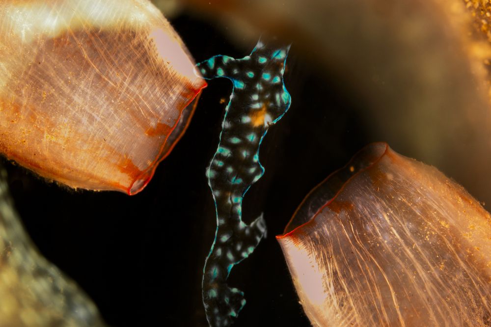 Photograph by Serdar AVCI