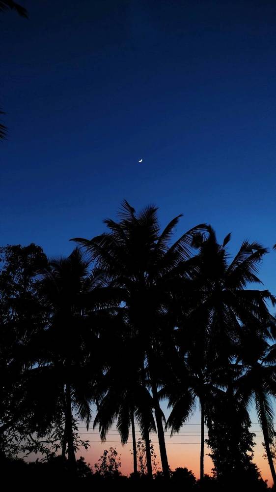 Фотография автора Tanaya Dhuri