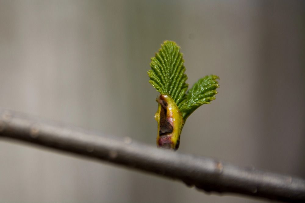 Photograph by Елена Ласун