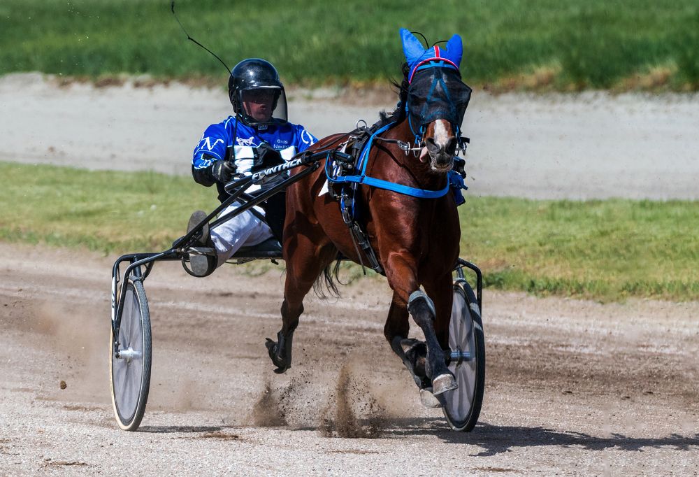 Photograph by Александр Перегудов