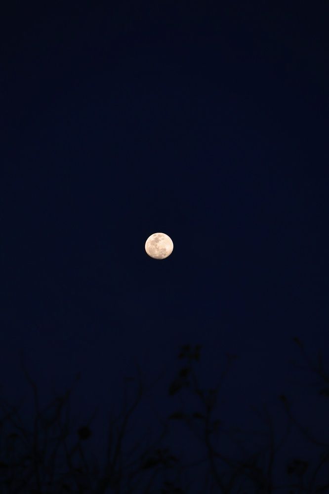 Фотография автора Tanaya Dhuri