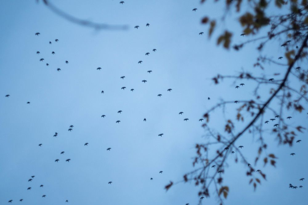 Photograph by Mostafa Moradi