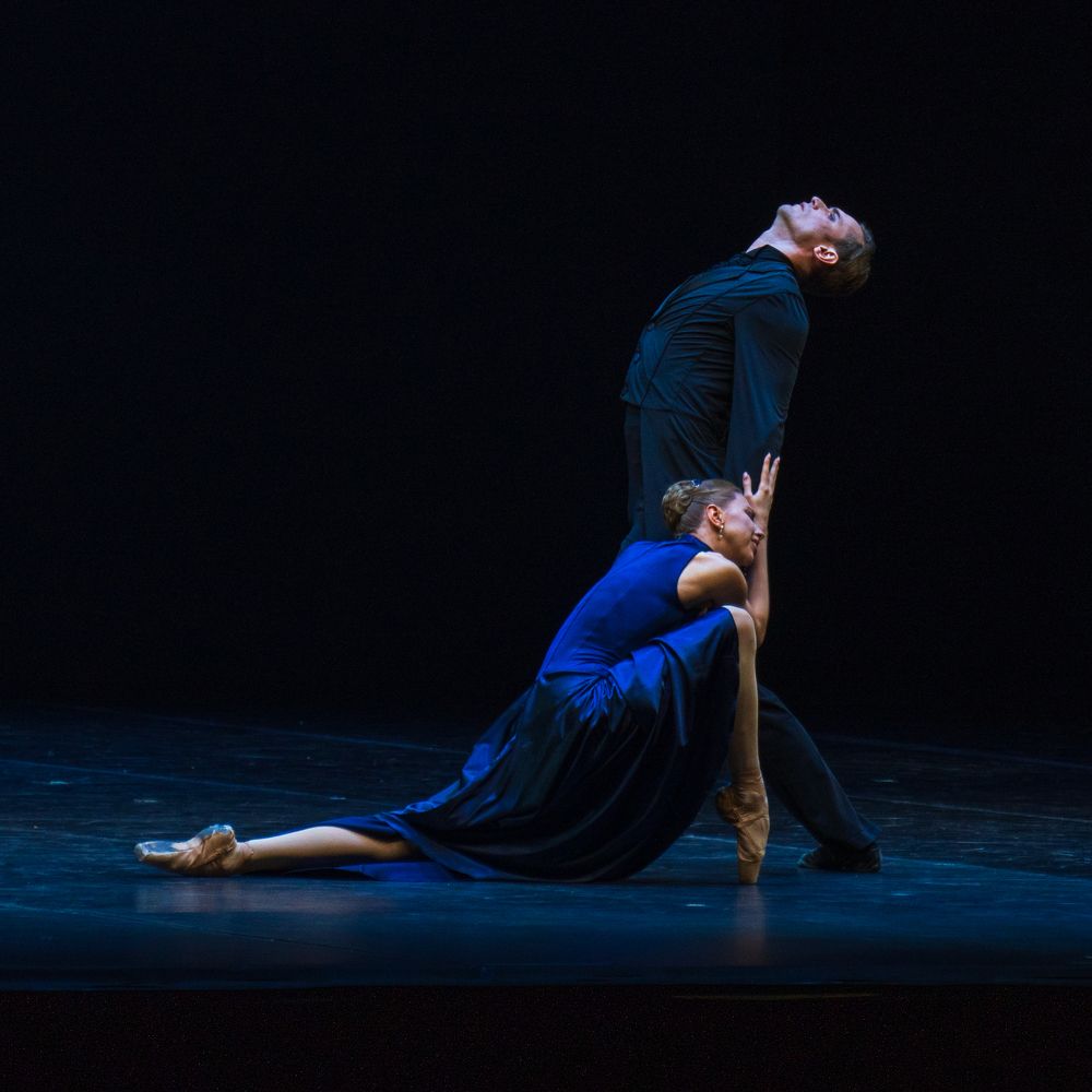 Photograph by Mostafa Moradi