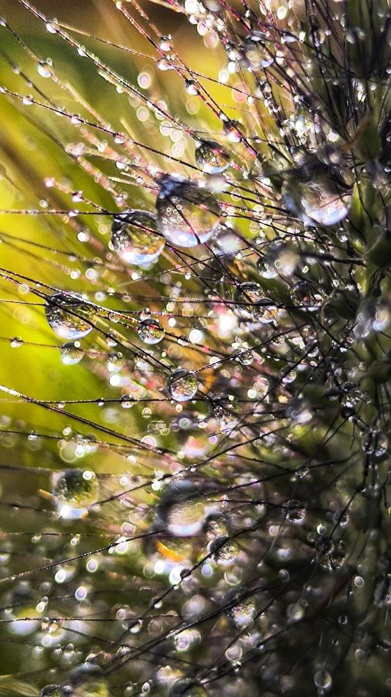Photograph by Ирина Подосинникова