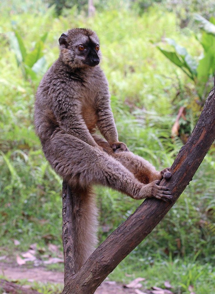 Фотография автора Евгений Печенин