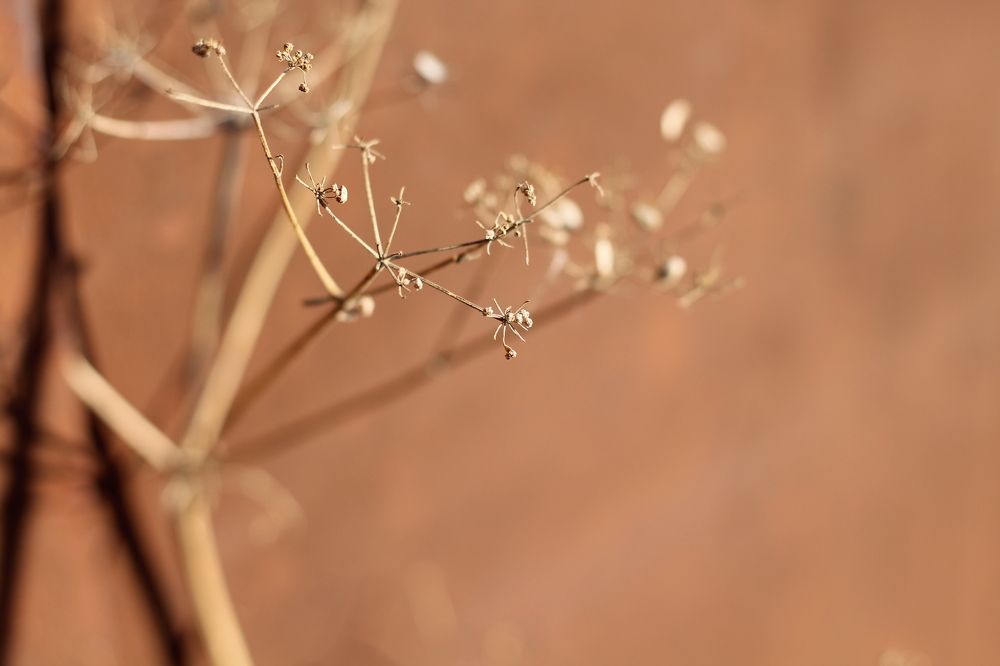 Фотография автора Дарья Рогозина