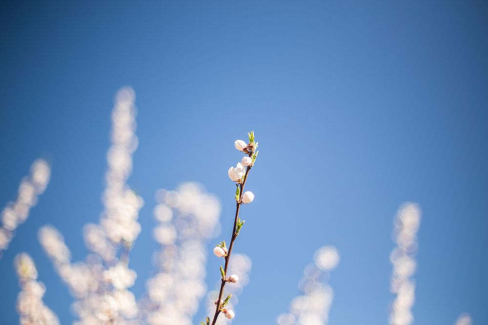 Photograph by Филипп Бабенко