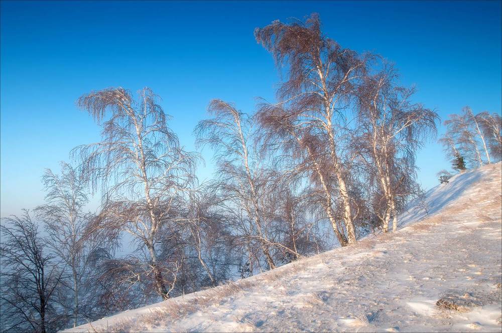 Фотография автора Сергей Сынтин