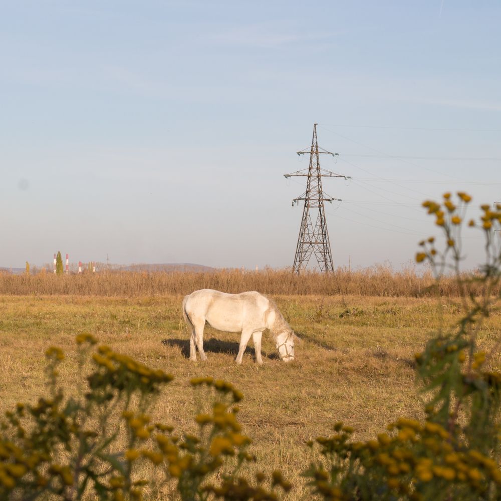 Фотография автора Дарья Рогозина