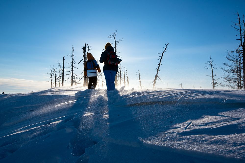 Фотография автора Сергей Сынтин